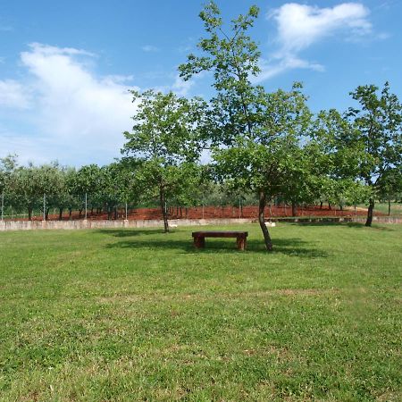 Holiday Home Rosa Gedici Екстер'єр фото