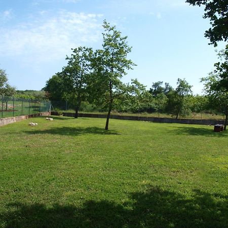 Holiday Home Rosa Gedici Екстер'єр фото